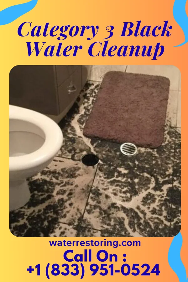 Category 3 Black Water Cleanup in Loraine, IL
