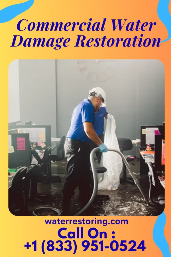 Commercial Water Damage Restoration in Loraine, IL