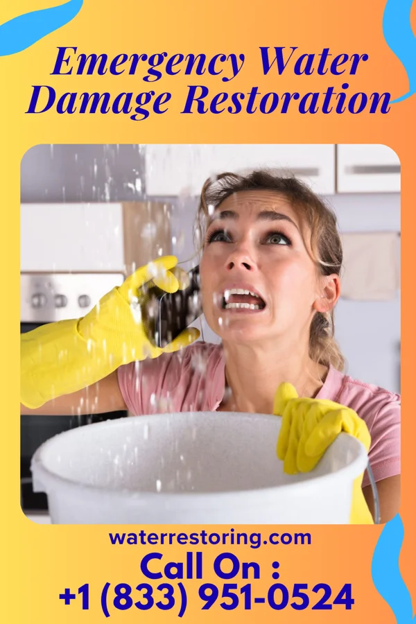 Emergency Water Damage Restoration in Loraine, IL