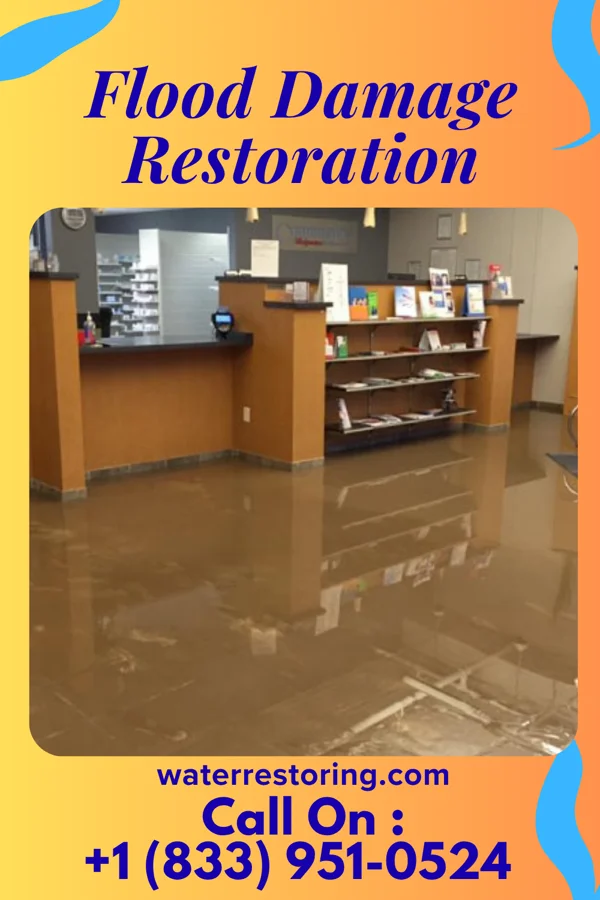 Flood Damage Restoration in Loraine, IL