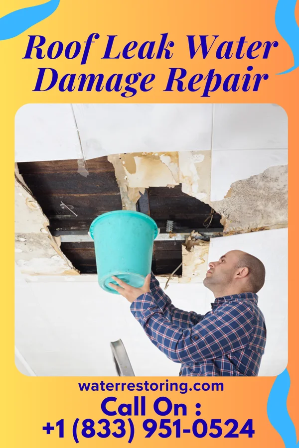 Roof Leak Water Damage Repair in Loraine, IL