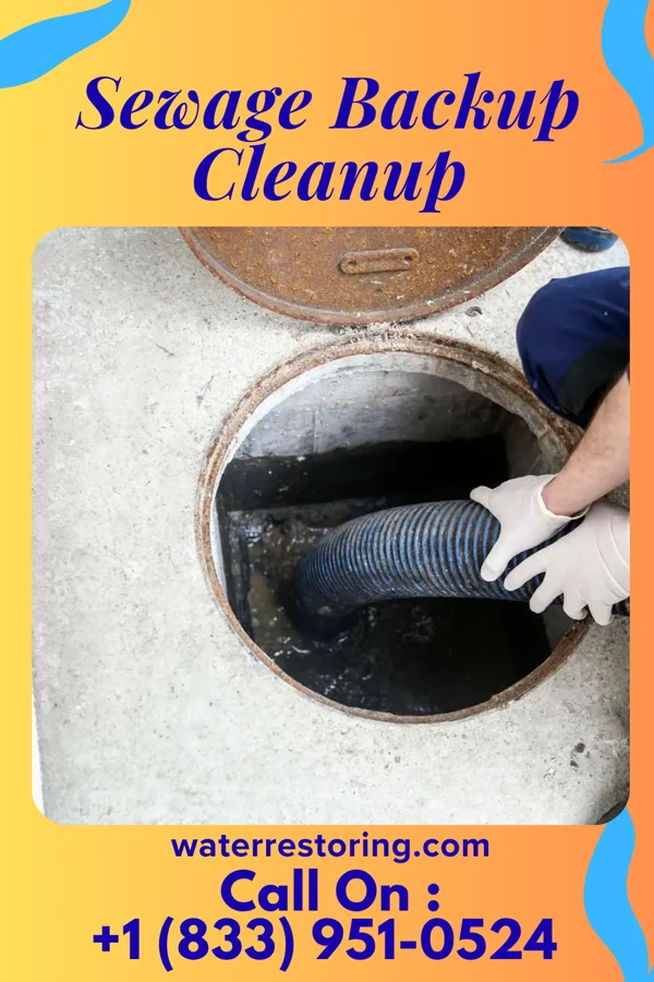 Sewage Backup Cleanup in Loraine, IL